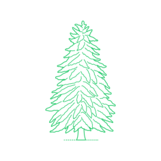 Plants Hemlocks Carolina Hemlock Line Art Illustration Svg, Free Vectors File